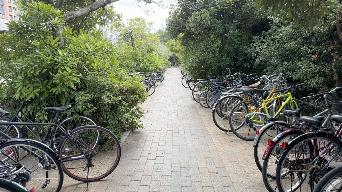 【共通】遊歩道沿いの駐輪スペース